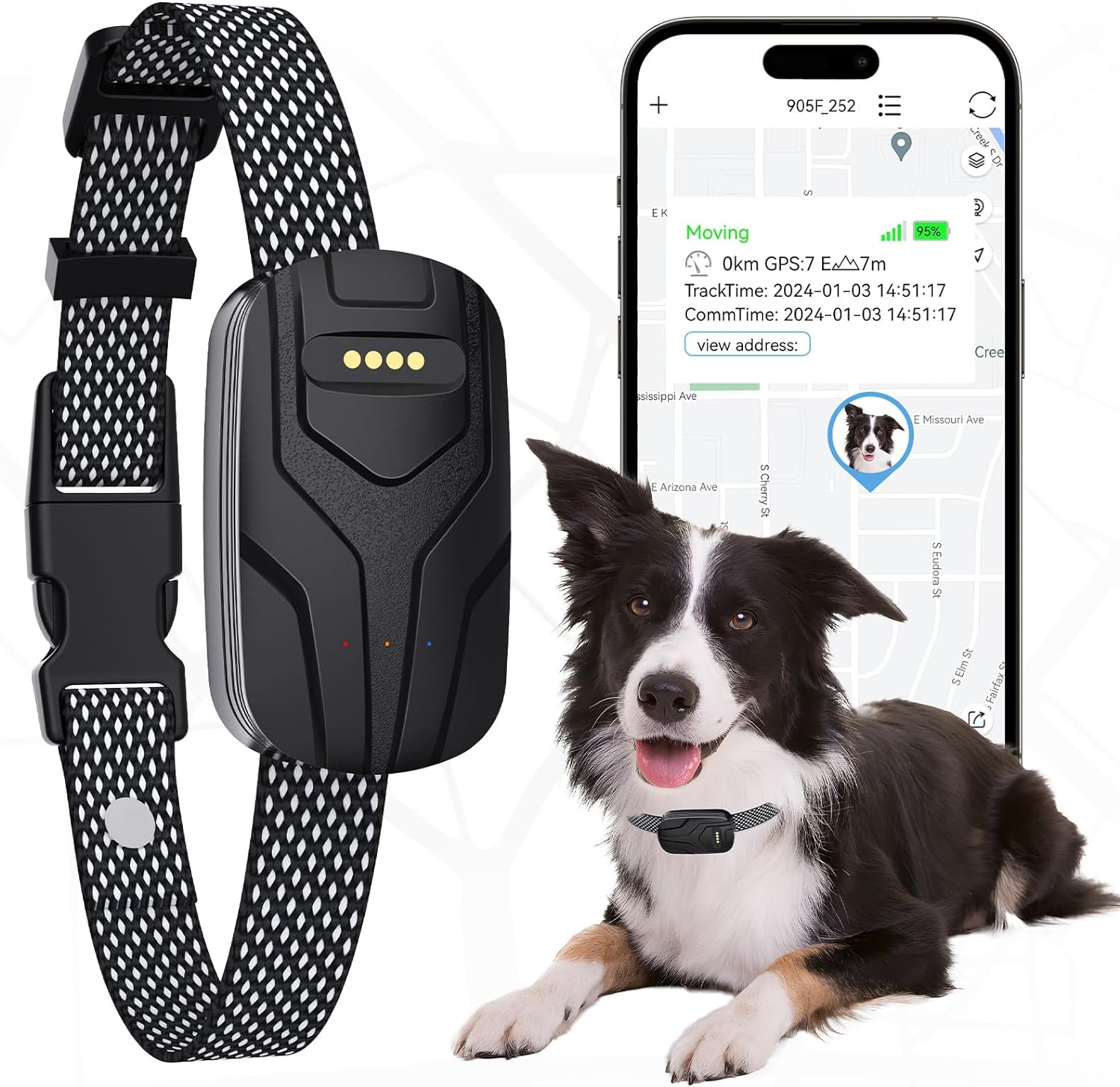 GPS Dog Tracker with Activity Monitoring